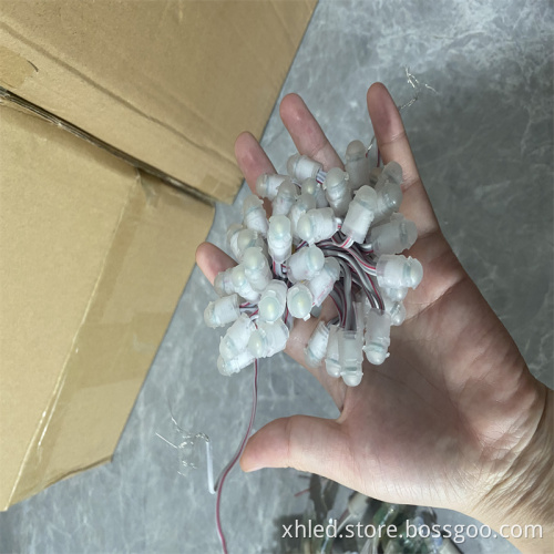 High Quality 50pcs/String 0.2W Waterproof IP67 Cold White SMD5050 LED Christmas Lights
